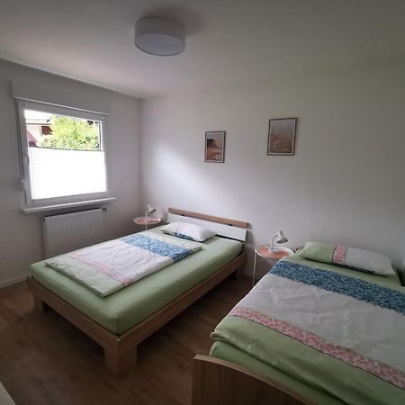 Ferienwohnung Blick Rappenstein Hausen am Tann Luaran gambar