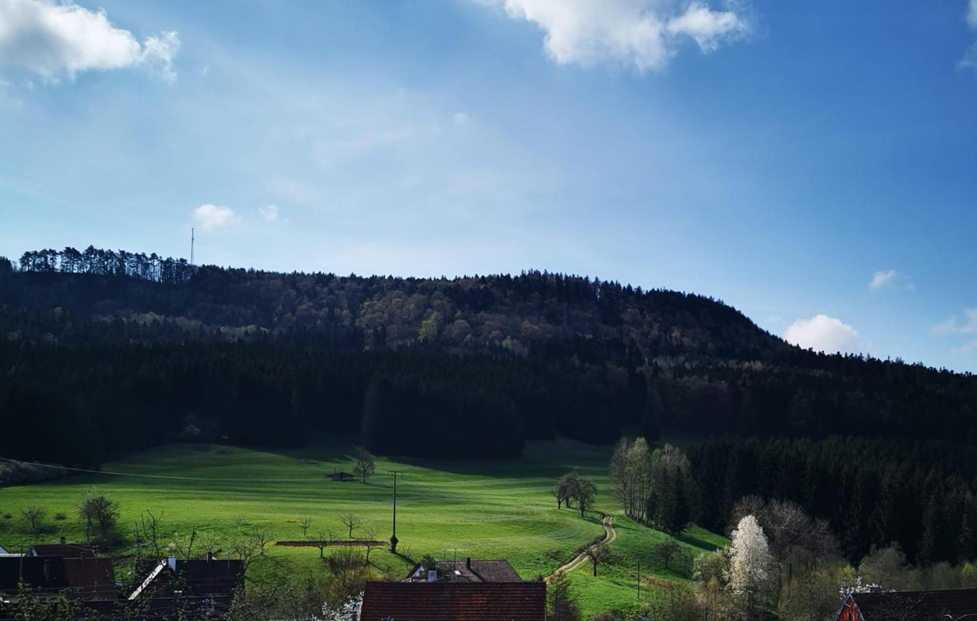 Ferienwohnung Blick Rappenstein Hausen am Tann Luaran gambar