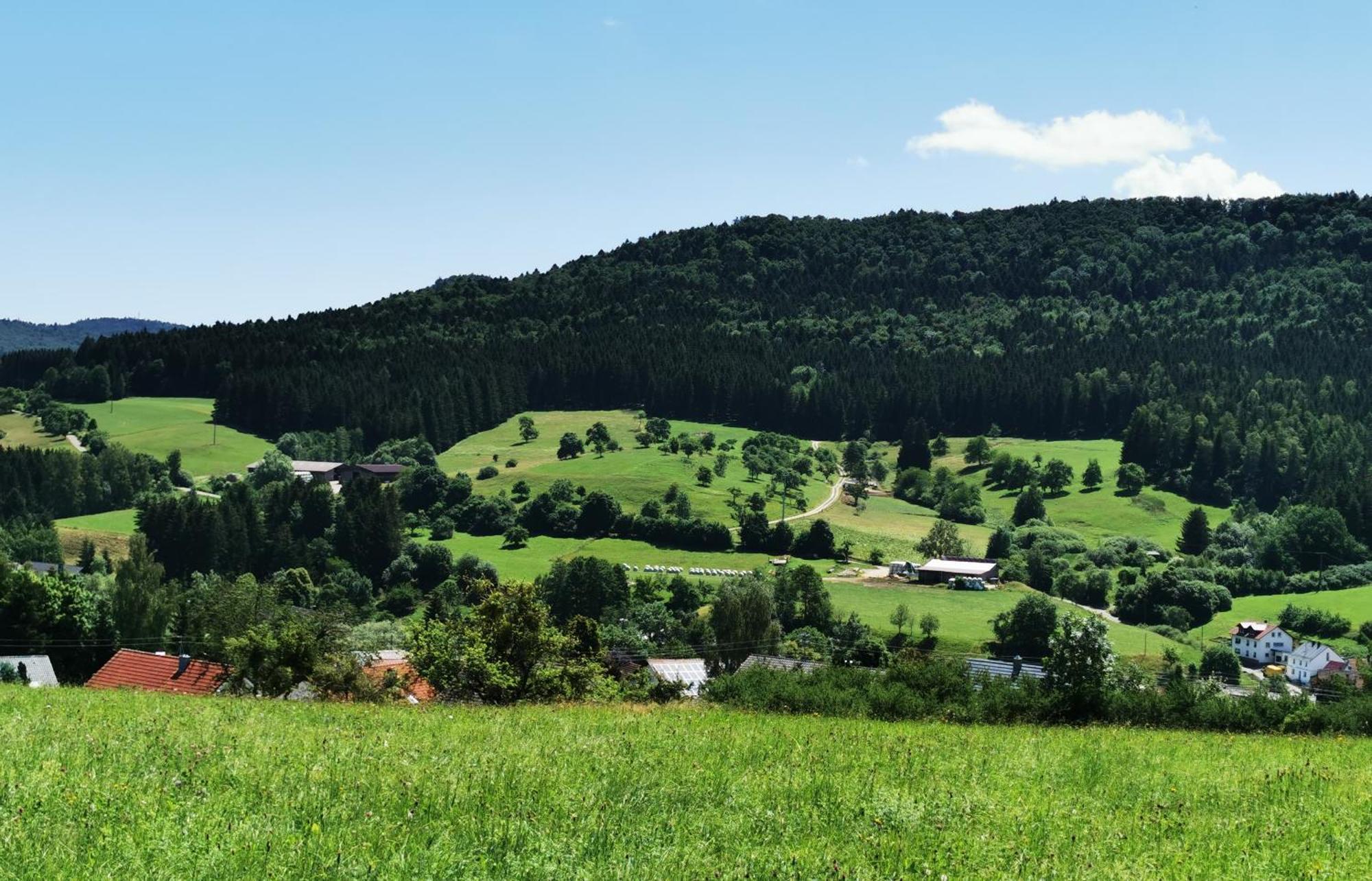Ferienwohnung Blick Rappenstein Hausen am Tann Luaran gambar