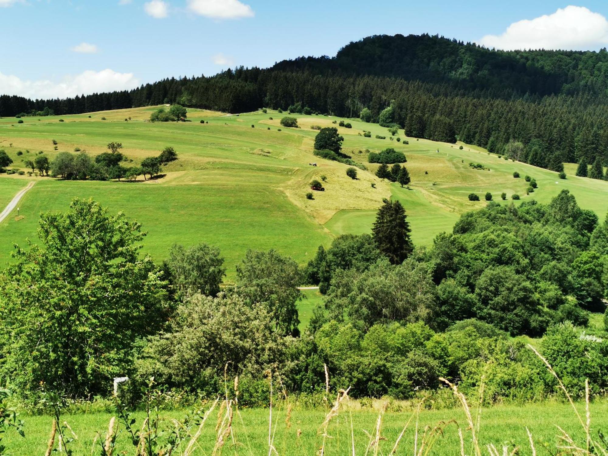 Ferienwohnung Blick Rappenstein Hausen am Tann Luaran gambar