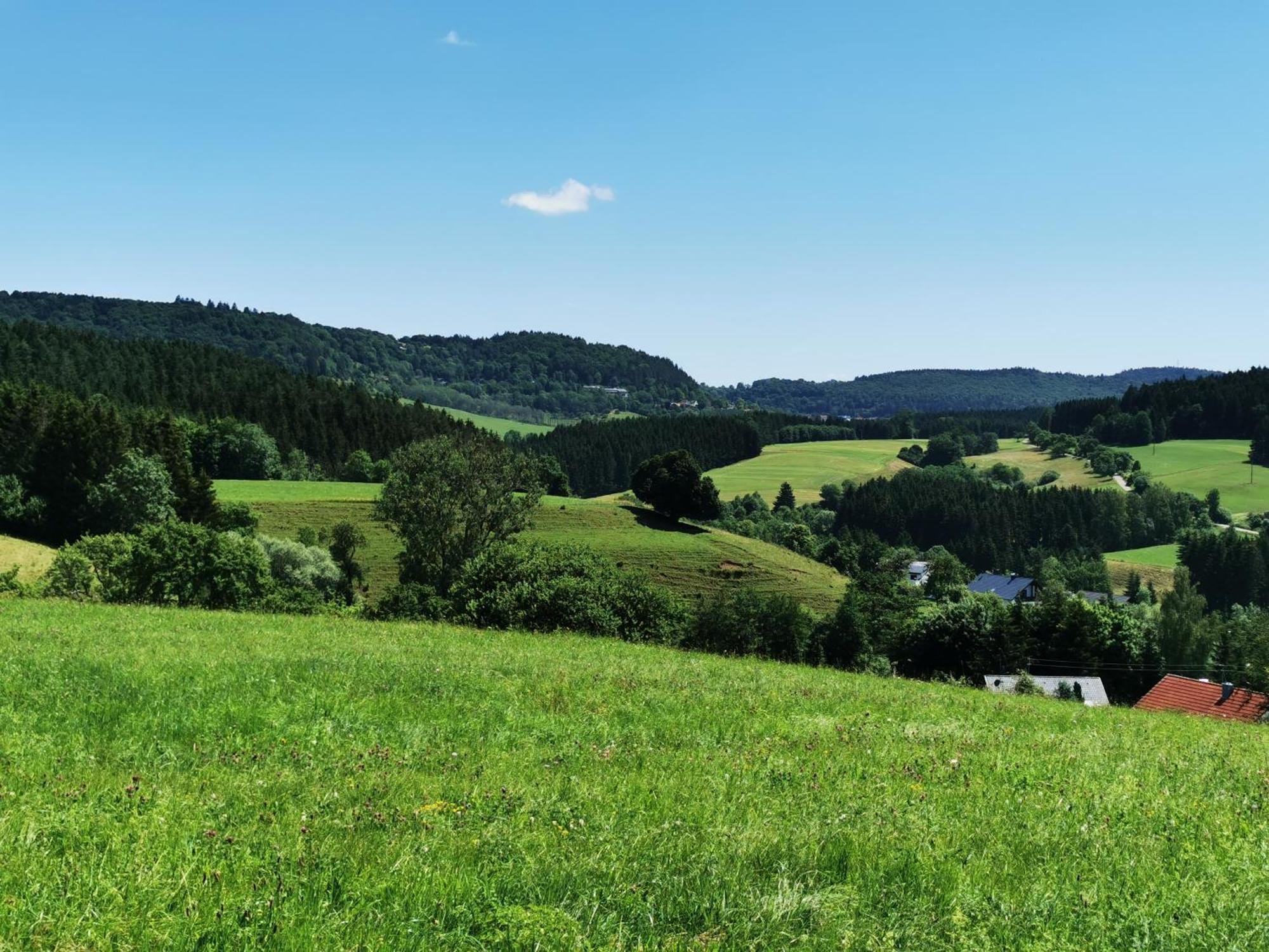 Ferienwohnung Blick Rappenstein Hausen am Tann Luaran gambar